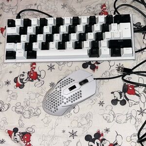 Computer Keyboard and mouse